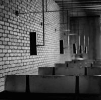 Lime Asian Kitchen Gallery